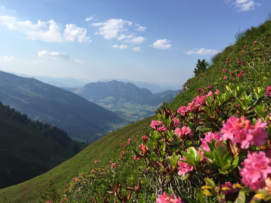 Das Alpbach Juwel Apartment ภายนอก รูปภาพ