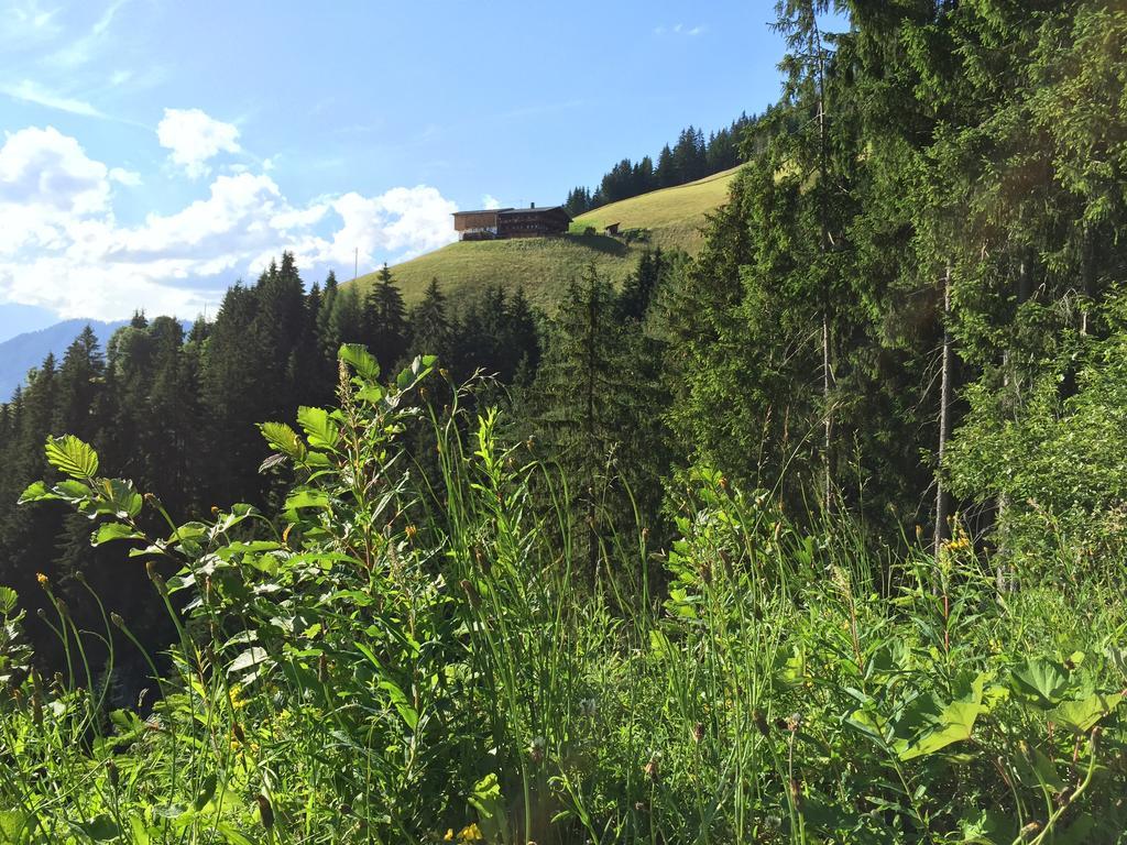 Das Alpbach Juwel Apartment ภายนอก รูปภาพ